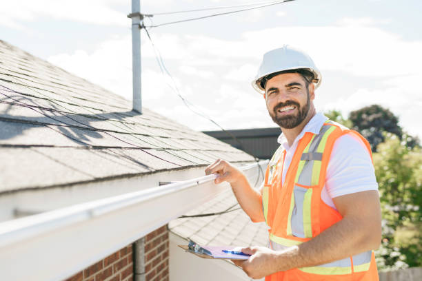 Best Roof Moss and Algae Removal  in Roxana, IL